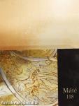 Máté 118