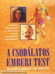 A csodálatos emberi test