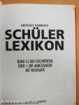 Grosses farbiges Schülerlexikon