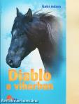 Diablo a viharban