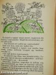 A szerencsét hozó kiscsacsi