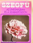 Szegfű az üvegházban és a szabadföldön