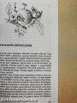 A természet Istenről beszél