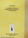 Csáfordy Júlianna lelkésznő találkozása a művészettel