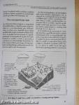 A világ helyzete 2011