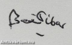 Fények a labirintusban (dedikált példány)