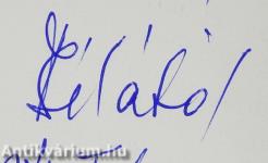 Hegyen innen, hegyen túl (számozott, dedikált példány)