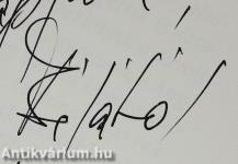 Hegyen innen, hegyen túl (dedikált példány)