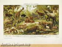 A Franklin kézi lexikona I-III.