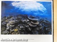 A nagy-korallzátony