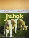 Juhok