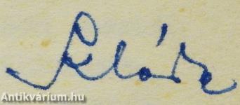 Huszas évek (dedikált példány)