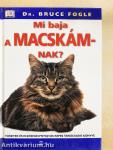 Mi baja a macskámnak?