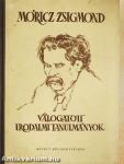Válogatott irodalmi tanulmányok