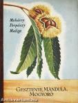 Gesztenye, mandula, mogyoró