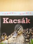 Kacsák