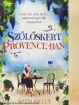 Szőlőskert Provence-ban
