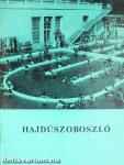 Hajdúszoboszló