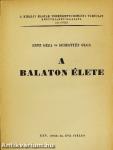 A Balaton élete