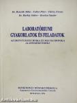 Laboratóriumi gyakorlatok és feladatok az irányítástechnika és mechatronika alapismereteihez