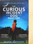 The Curious Incident of the Dog in the Night-time
