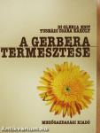 A gerbera termesztése