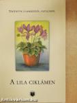 A lila ciklámen