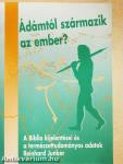 Ádámtól származik az ember?