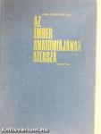 Az ember anatómiájának atlasza 2. (töredék)