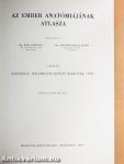 Az ember anatómiájának atlasza 2. (töredék)