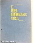 Az ember anatómiájának atlasza 3. (töredék)