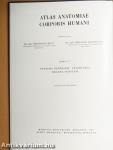 Az ember anatómiájának atlasza 3. (töredék)
