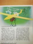 Mesélj a repülésről!