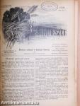 A Természet 1902. szeptember 1.-1903. augusztus 15.