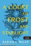 A Court of Frost and Starlight - Fagy és csillagfény udvara (Tüskék és rózsák udvara 4.)