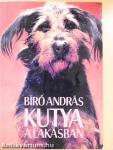 Kutya a lakásban