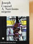 A Narcissus négere