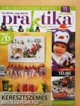 Praktika 2010. november