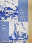 Az Angyalföldi tébolydától a Nyírő Gyula Kórházig