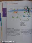 Cell Signaling & Neuroscience 2000/2001