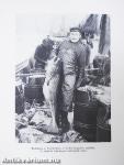 Keserű tenger