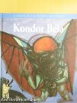 Kondor Béla