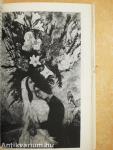 Marc Chagall
