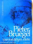 Pieter Bruegel szenvedélyes élete
