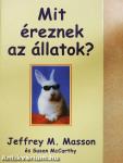 Mit éreznek az állatok?