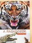 A ragadozók világa