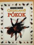 Csudálatos pókok