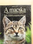 A macska