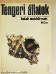 Tengeri állatok 1.