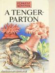 A tengerparton